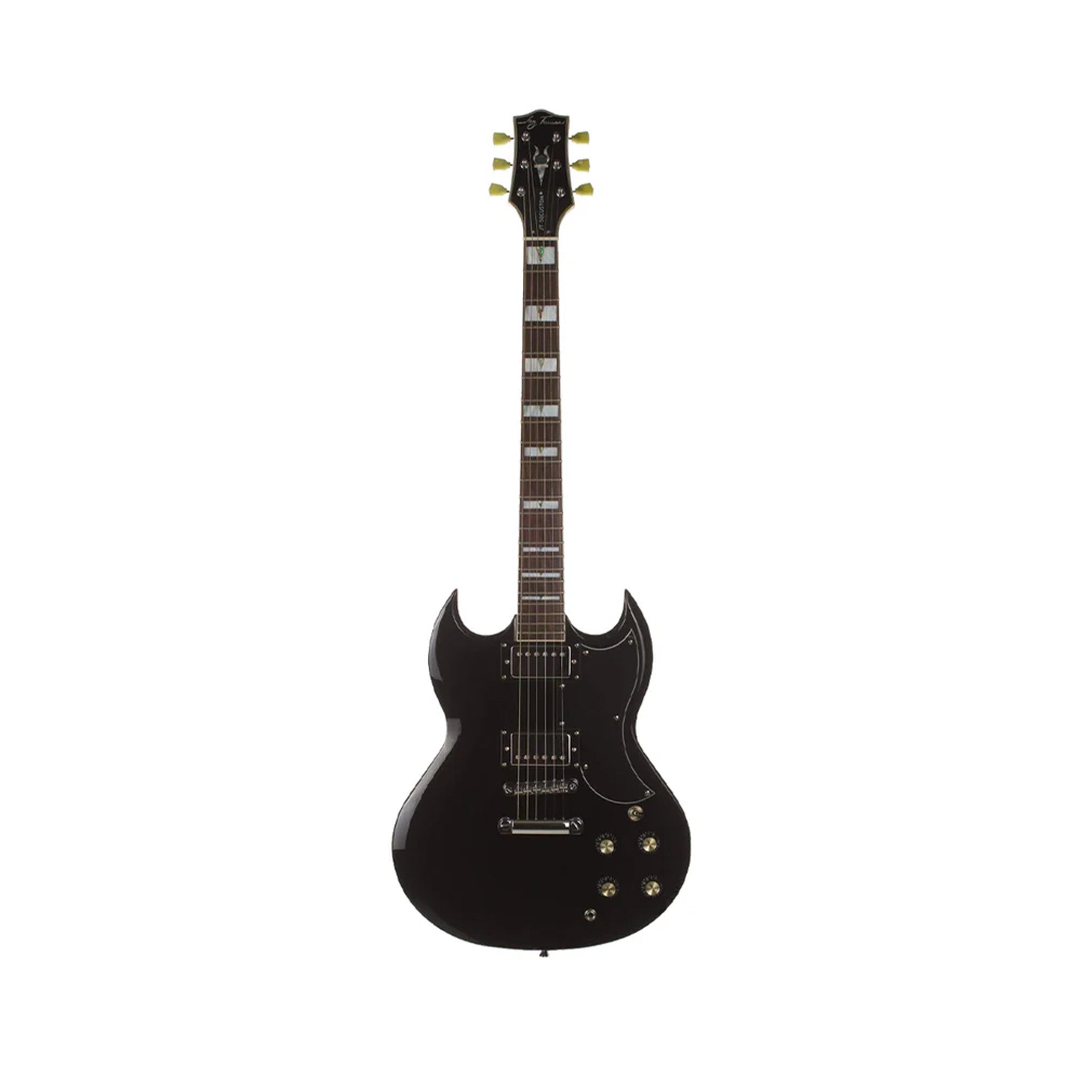 Jay Turser JT-50 CUSTOM Electric Guitar